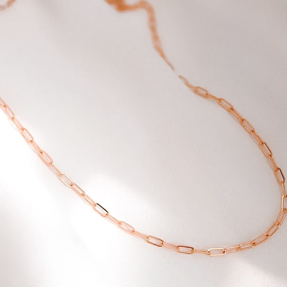 ⚜️[𝟯/$𝟮𝟴]⚜️NEW Paperclip Chain Stainless Steel Necklace - Picture 8 of 15